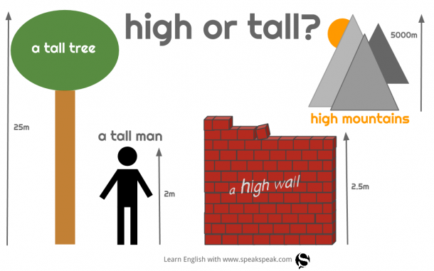 high-vs.-tall