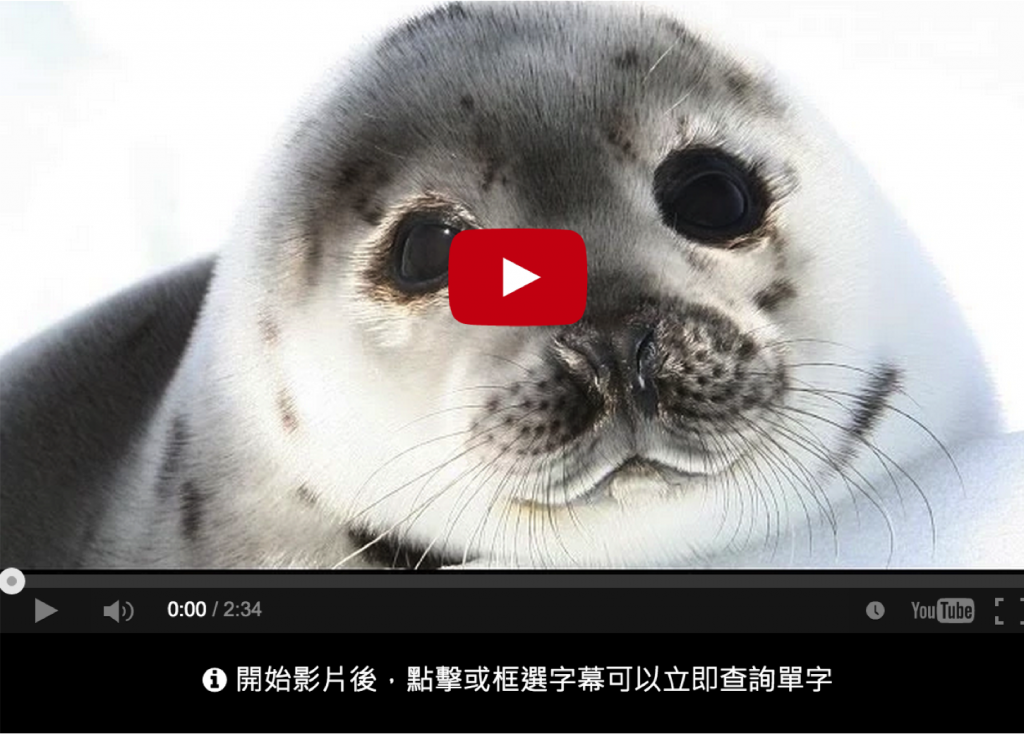海報