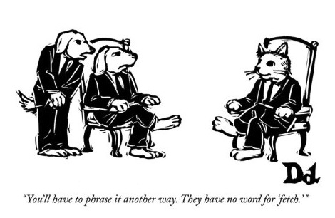 drew-dernavich-you-ll-have-to-phrase-it-another-way-they-have-no-word-for-fetch-new-yorker-cartoon copy 2