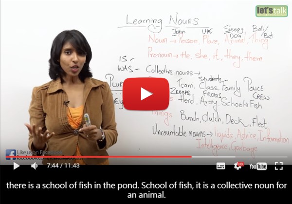 a-school-of-fish